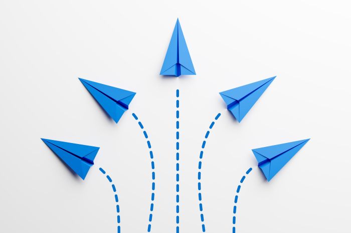 Przewodnik po wyborze platformy e-commerce dla Twojego biznesu